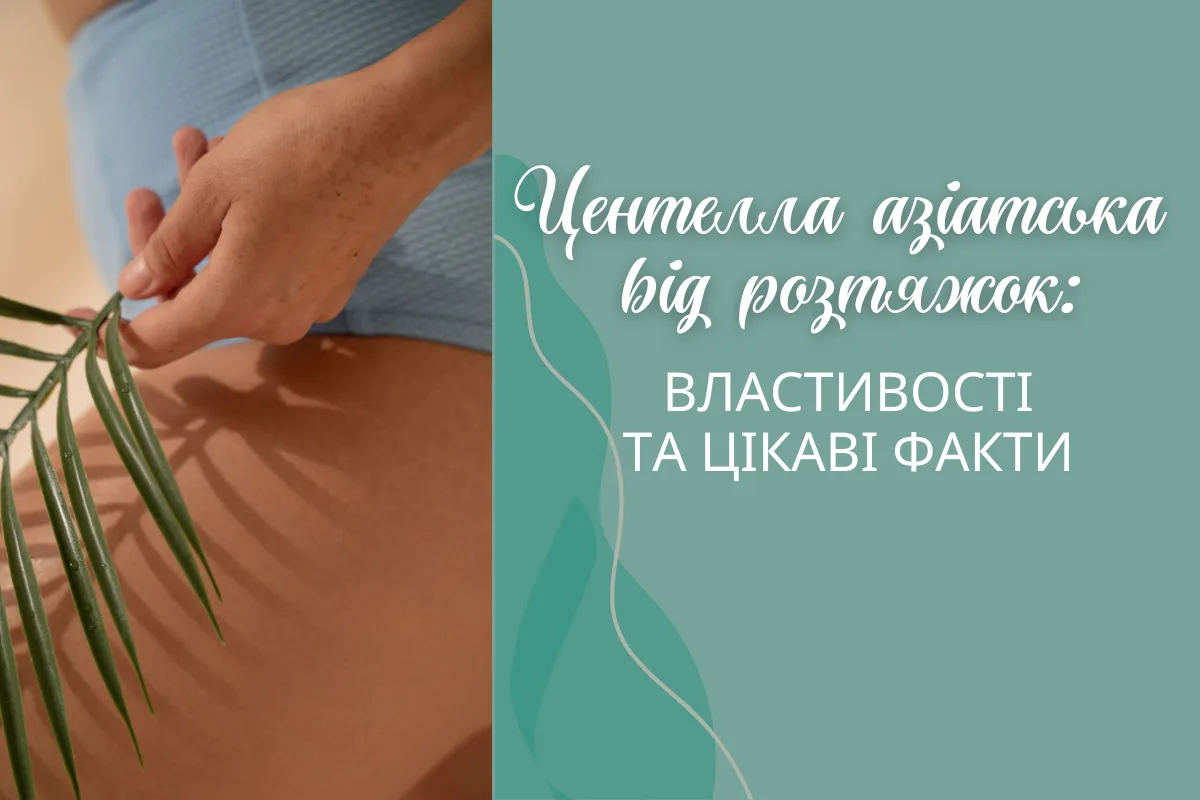Centella Asiatica for Stretch Marks: Properties and Interesting Facts